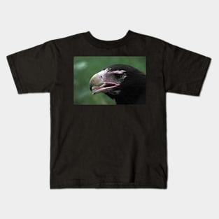 Australian Wedge-tailed Eagle Portrait #1. Kids T-Shirt